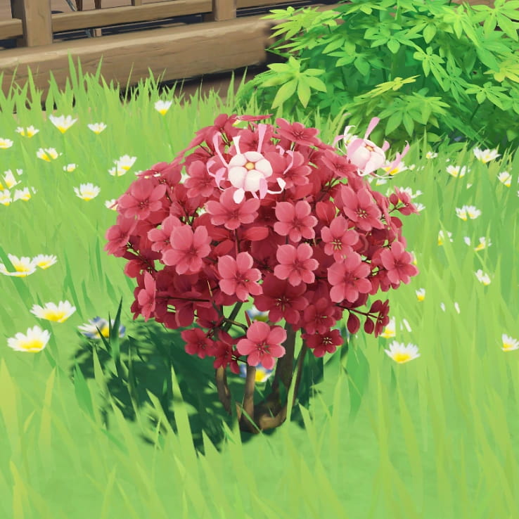 complete liyue specialties guide