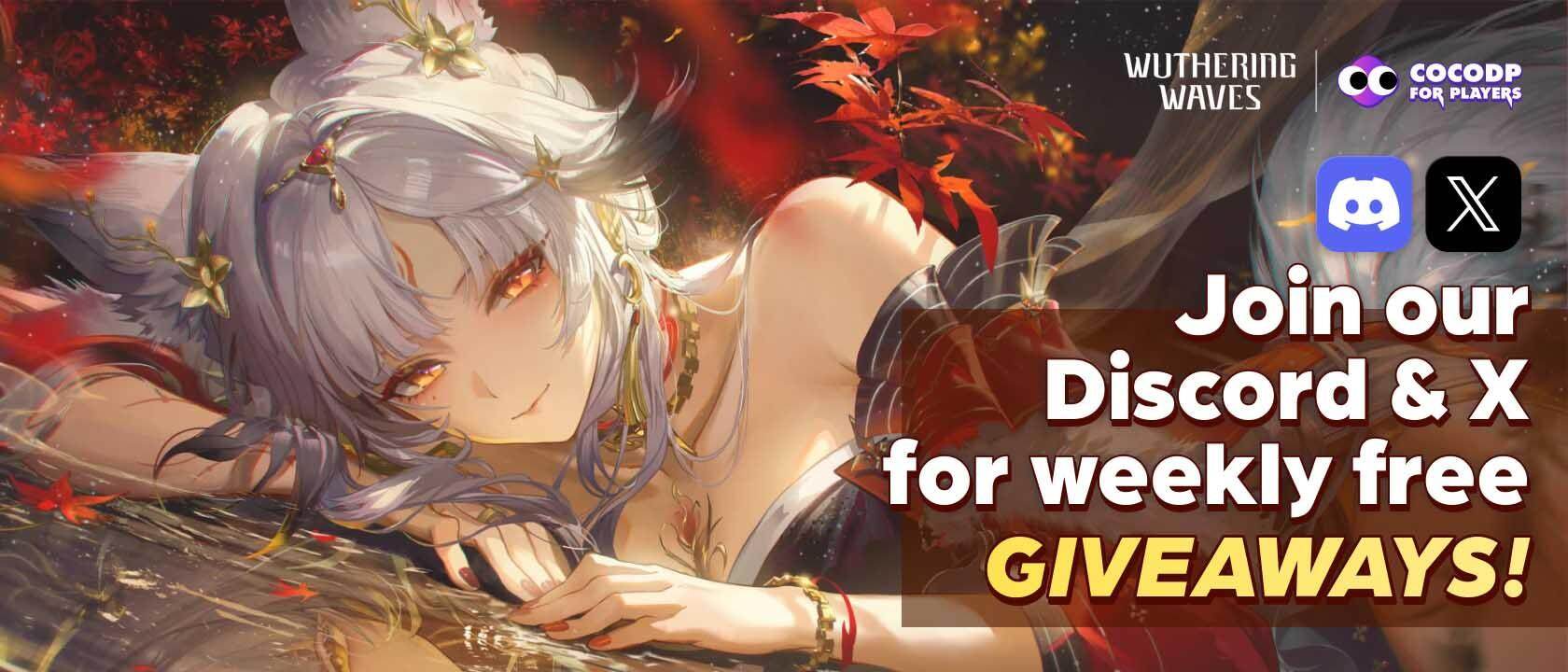 follow x banner octii